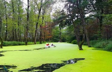 7bc22240-e787-453c-8848-792c25afc6d7 پارک جنگلی سراوان