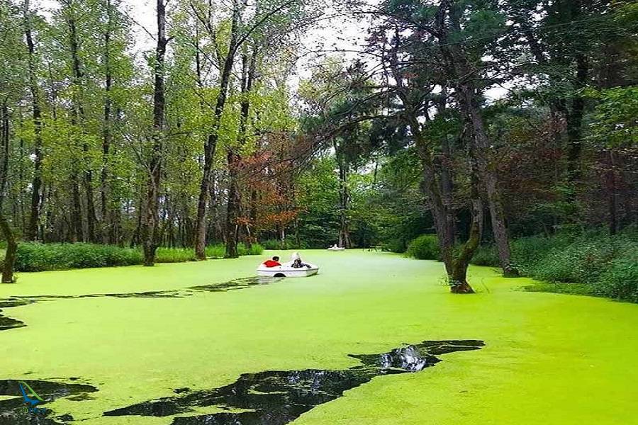 7bc22240-e787-453c-8848-792c25afc6d7 پارک جنگلی سراوان