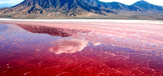 تالاب لیپار